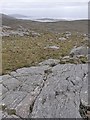 NB0125 : Rock slab, Snoidibridh, Isle of Lewis by Claire Pegrum