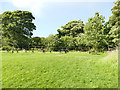 Oakwell Country Park - picnic area