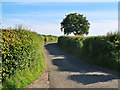 Cyclist on the Craigthornhill Road near Glassford