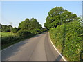 Lonesome Lane, Surrey