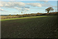 Arable field, Gammaton Barton