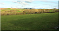 Farmland near Eastwood