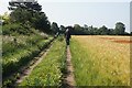 Path leading to Hodsow Lane, Pocklington