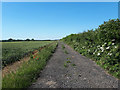 Public bridleway towards Rangehill Copse