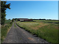 Barns near Rangehill Copse