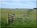 Grassland and fence near Ferneyrigg Farm