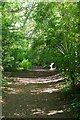 Footpath to Cricket Field Lane