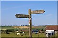 Braes Loan Trail signpost