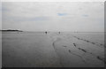 SD2608 : The water's edge on Formby Beach by Bill Boaden