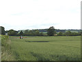 Crop spraying at Red House Farm