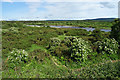 River Spey