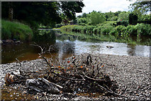 H4772 : Debris in the Camowen River by Kenneth  Allen