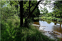 H4772 : Camowen riverbank at Mullaghmore by Kenneth  Allen