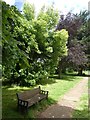 Bench and trees, Exeter Higher Cemetery