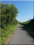 SX9687 : The Exe Valley Way beside Exeter Canal by David Smith