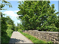 Ball Grove Park: road alongside the lake