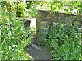 Ball Grove Park: gap stile