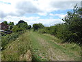 Embankment on Milton Creek Country Park