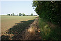 Path leading to Bielby