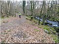 SH6022 : The excellent bridleway next to the Afon Ysgethin by David Medcalf