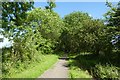 Rail trail near Cherry Burton golf club