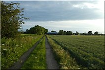 SE6648 : Bridleway near Langwith Lodge by DS Pugh