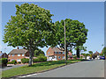 Housing in Balmoral Road, Wolverhampton