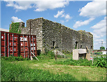 R6706 : Castles of Munster: Dannanstown, Cork (2) by Garry Dickinson