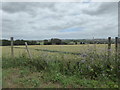 View from Coach Road, near Egerton