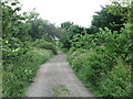 Public Footpath Near Seghill