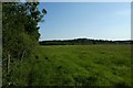 Path along the edge of the field