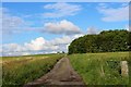 Back Lane to Saphock