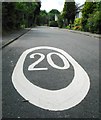 20 MPH limit