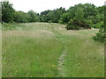 Path Through Grassland Near Seghill