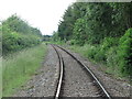 Mineral Railway Near Mare Close, Seghill