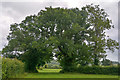 West Harptree : Grassy Field