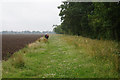 Public right of way towards Rudding Lane