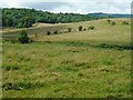 Fields beside Craigdhu Road