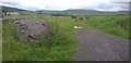 Southern Upland Way on Sanquhar Moor