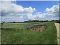 Wheat field near Denford Ash Farm