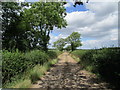 Roadway to Denford Ash Farm