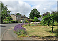 Fulbourn: Pierce Lane lavender