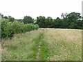 Field footpath at Epperstone