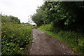 Path leading to Boothferry Bridge