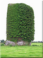 R2850 : Castles of Munster: Dysert, Limerick (1) by Garry Dickinson