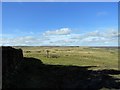 View across the moor