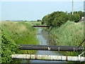 Drain by Eastbridge Road, Dymchurch