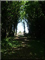 Faversham creek railway embankment