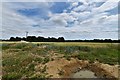 Little Waldingham, Lavenham Road: Cereal crop