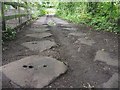 Sleepers of the Silkstone waggonway